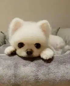 测试一个超长简介的文章