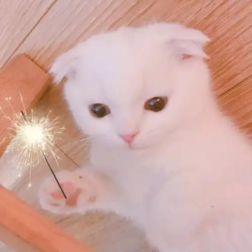 头像控,你知道我在等你吗