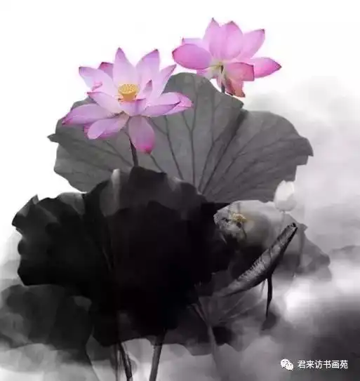席慕蓉我愿为莲淡雅剔透美到极致的写意人生