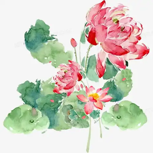 夏季荷花水墨风创意元素png图片素材免费下载元素png30003000像素熊猫办公