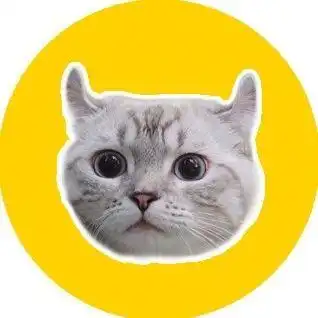 如果猫奴在路上遇到猫,大概都是这样子的....