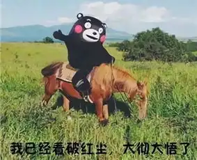 抱歉,在宿舍学习是我不对