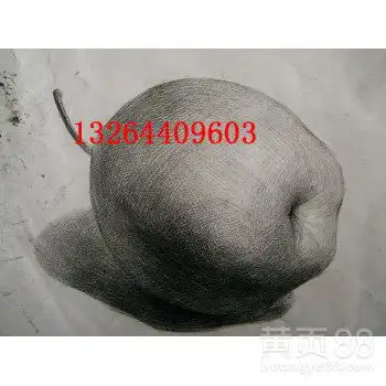 北京黄页88网