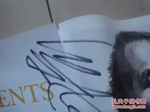敲门砖素描风暴素描头像12012年1版1印