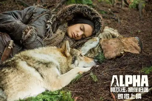 阿尔法狼伴归途美哭少年和狼的史前冰川冒险