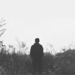 测试一个超长简介的文章