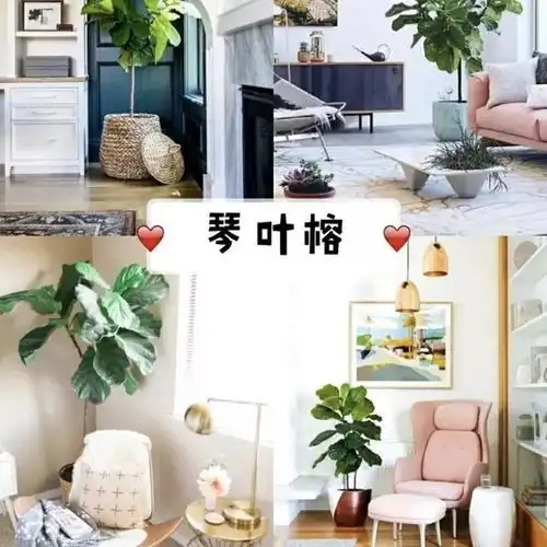 这就是我想要的ins风简约家居小单品