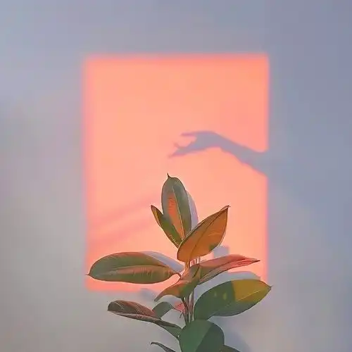 测试一个超长简介的文章