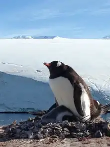 极之美极的爱旅行