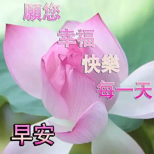 早安发朋友圈最美的心情说说,句句经典