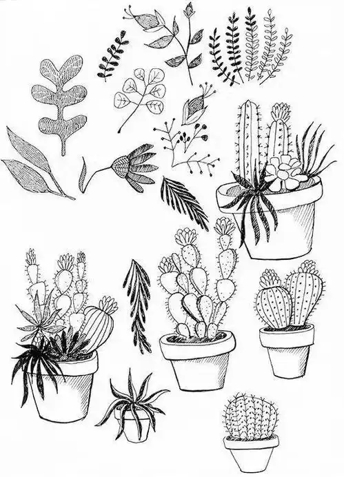 简笔画素材植物