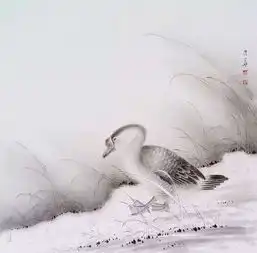 空灵淡雅画画即自己赏读青年花鸟画家王兴华