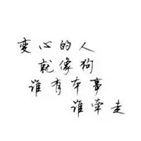 测试一个超长简介的文章