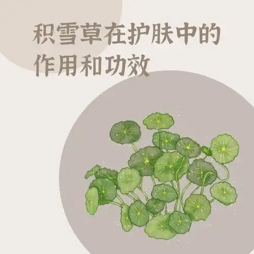 美容护肤界雪颜护肤的万金油