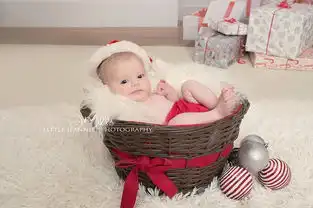 父母为新生婴儿拍圣诞写真萌化人心