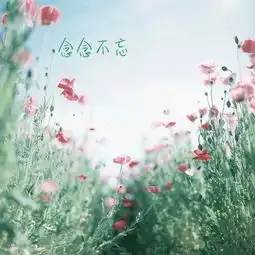 空间背景墙图片带字念念不忘