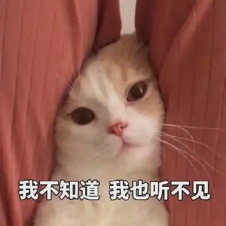 猫咪表情包可以但没必要,有必要但不可以