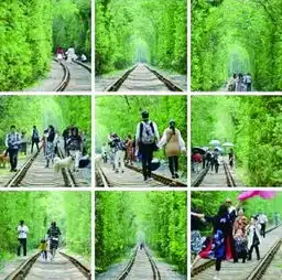 爱情隧道网上热传南京警方实力劝退游客
