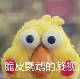 让新晋网红兄弟祝你鸡年大吉吧