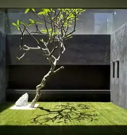 禅意庭院