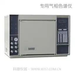 硫化物分析专用气相色谱仪