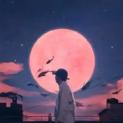 测试一个超长简介的文章