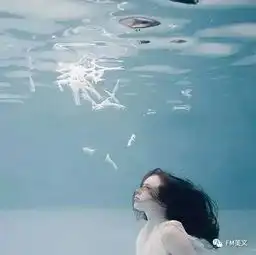 20张漂亮的水下摄影照片