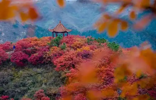 秋日的济南渐入佳境,如童话城堡般唯美满足你对旅行的想象