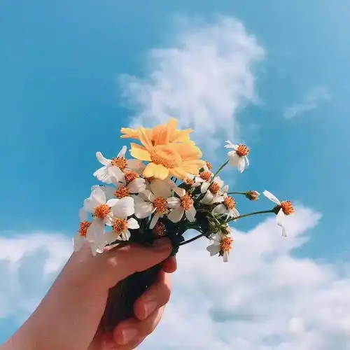 测试一个超长简介的文章