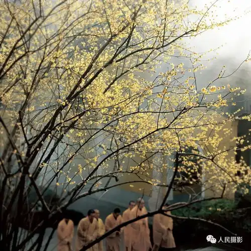 张望的禅意摄影之路弘扬中国文化的新途径