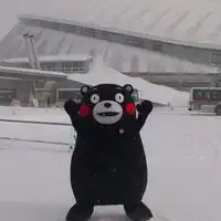 熊本熊可爱头像无字版日本熊本熊头像