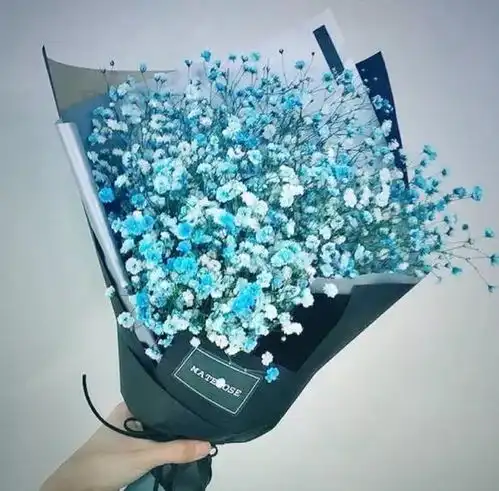 情人节我在等风也等你