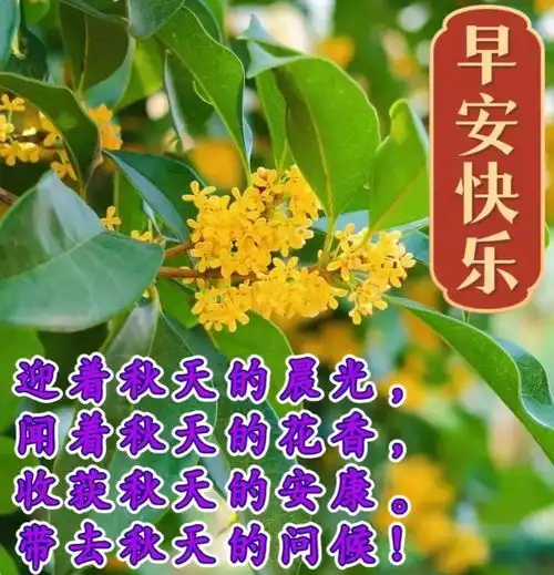 早上好图片大全,平安健康就是福