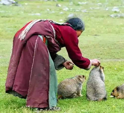 九寨沟今年国庆不开放,川西这11个人少绝美的秘境,值得挑一个出发