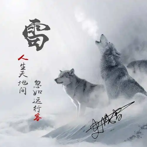 你有多久没有换头像了,4款多张狼图腾励志头像,送给喜欢狼的你