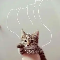 喵星人超人猫