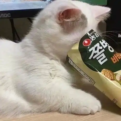 love头像我也不想可爱呀可是我是猫猫耶