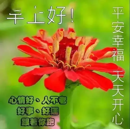 早上好表情包,珍惜身边的人,珍惜每一份爱