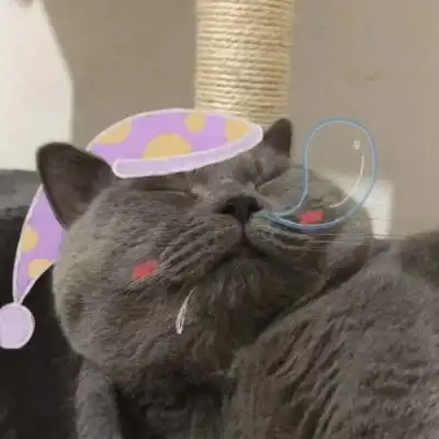 猫咪情侣头像每个人都有自己的情侣头像我要个性网