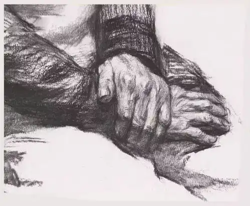美术生必看联考色彩素描头像要点讲解
