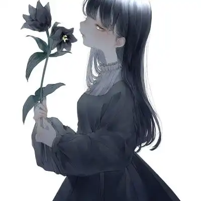 测试一个超长简介的文章
