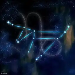 如果摩羯,金牛,白羊能胜任996,那天蝎水瓶处女座则易成007