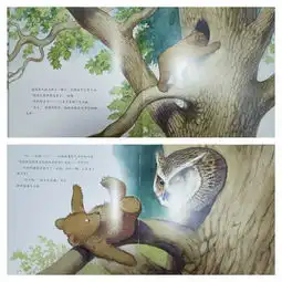 绘本分享邋遢熊和丢失的球
