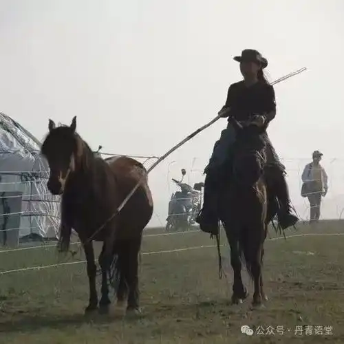 以梦为马曾经联想刘爱婷