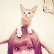 jinniy的个人专辑蘑菇街,我的买手街