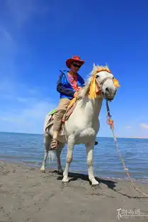 青海湖游记
