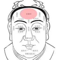 男人须知面相看你适合做官or经商