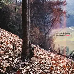测试一个超长简介的文章