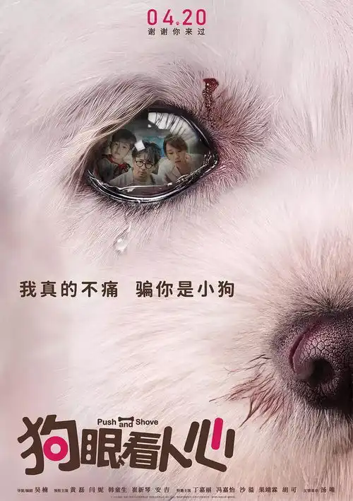 狗眼看人心忠犬舍命救主戳泪点,爱你胜过爱自己