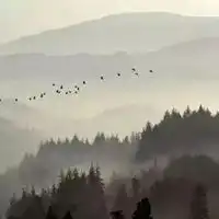 空灵禅意图片空灵有禅意的意境图片